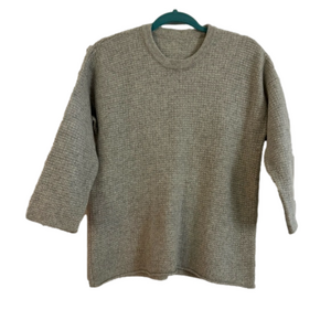 Madewell sweater (100% merino wool)
